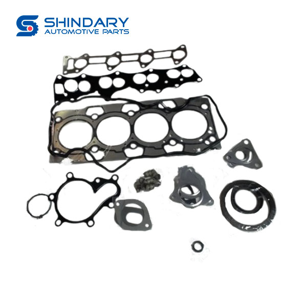 Overhaul kit 1002050FB010 for JAC REFINE