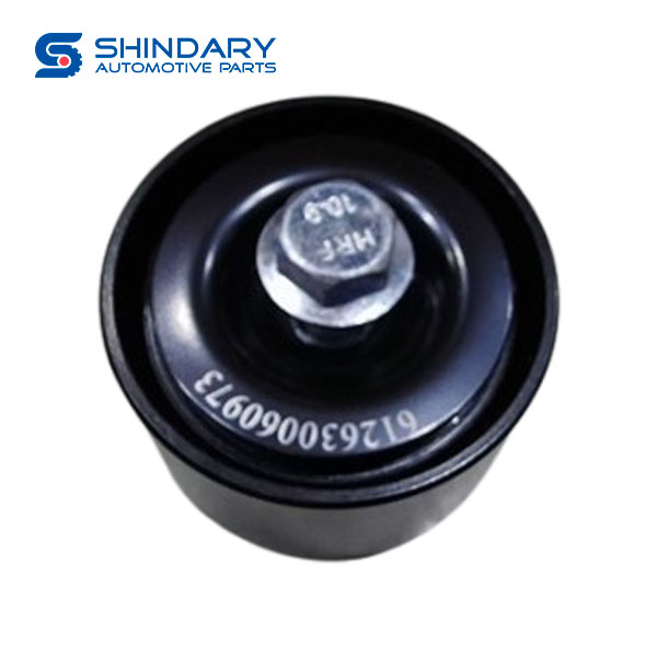 Idler gear 1002776839 for FAW TIGER VR