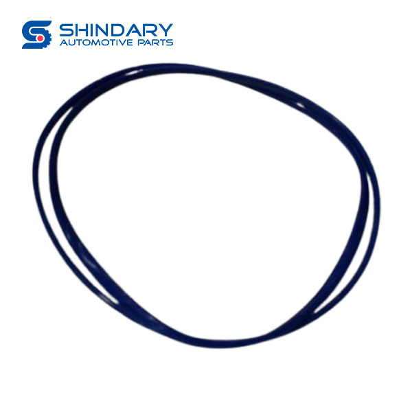 Cylinder head cover sealing ring 1003342FA for JAC SUNRAY