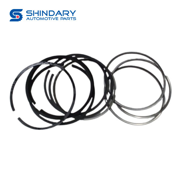 Piston ring assy 1004024FA130 for JAC T6