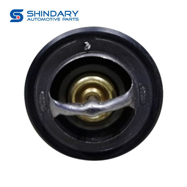 Thermostat 1004050586 for FAW TIGER VR