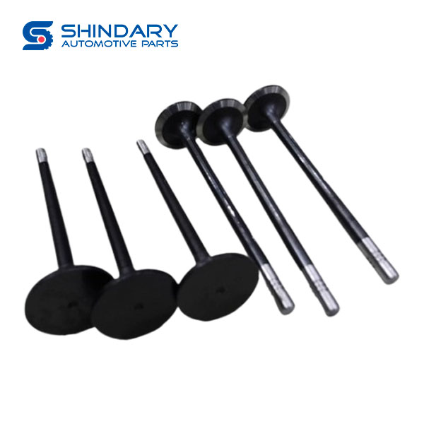 Intake valve 1007011-M50-0000 for FAW J6P