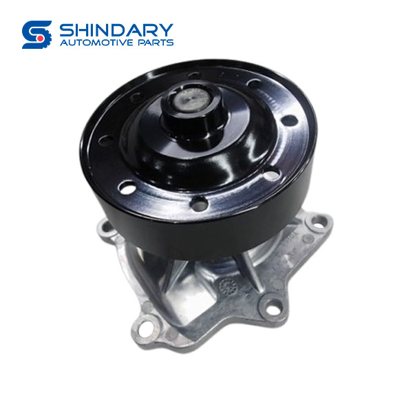 Water pump 10120231310000 for GAC GS3