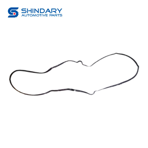 Cylinder head guard sealing ring 1014107FE010 for JAC M209