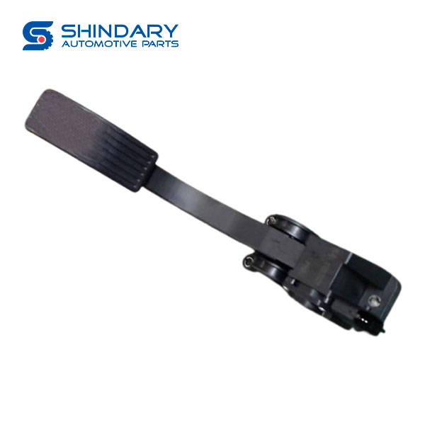 Electronic throttle with pedal assy 110820029 for JMC