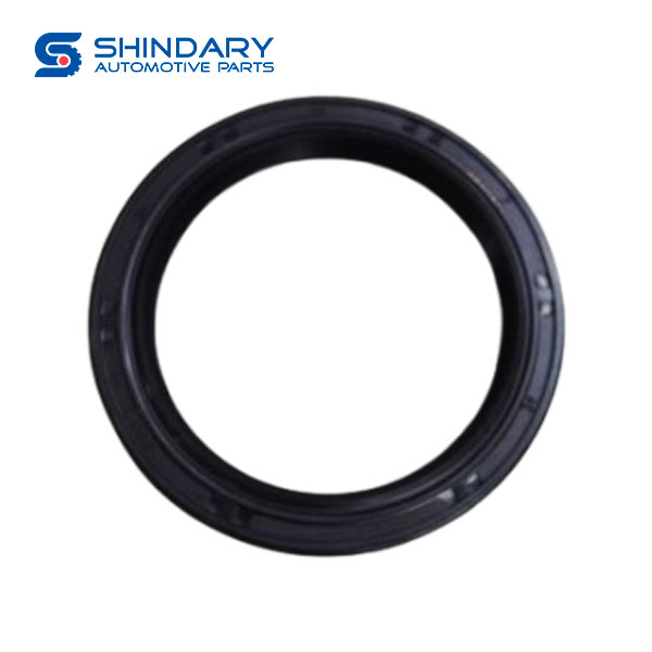 Half shaft gasket assy 130-2401034 for JAC