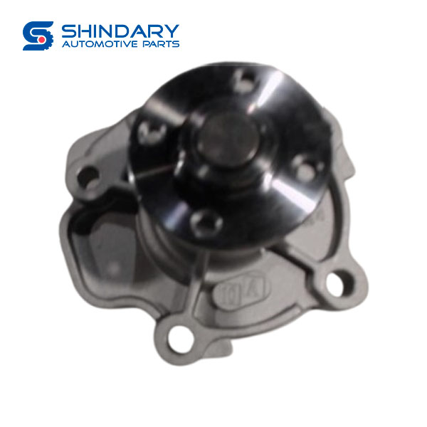 Water Pump 1307100-D00-00 for DONGFENG CITYVAN