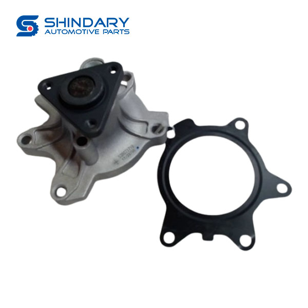 Pump assy 1307100-EG01-M4 for GREAT WALL