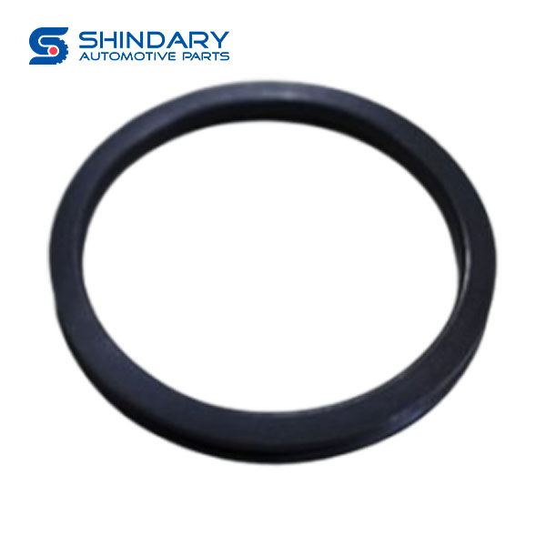 Oil seal 1701135-A7G for FAW J6P-350