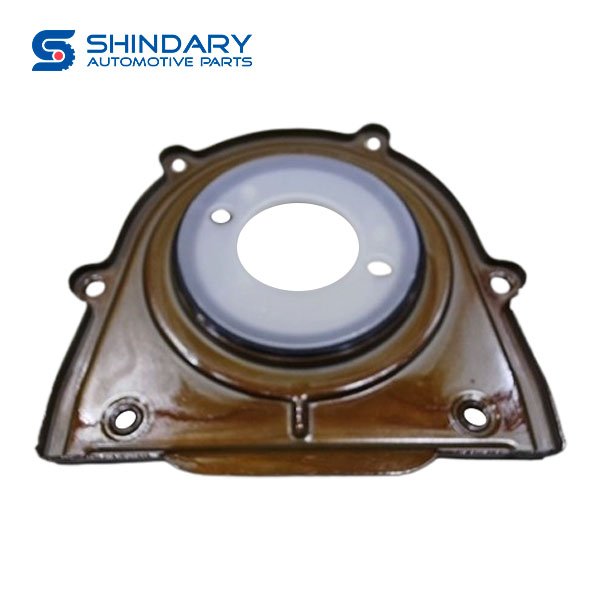 Rear crankshaft oil seal 1S7G-6K318-BA for JMC GRAND AVENUE