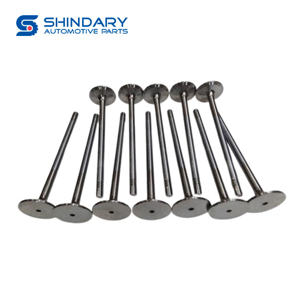 Intake valve 200V04101-0574 for SINOTRUK T7H 430 2022