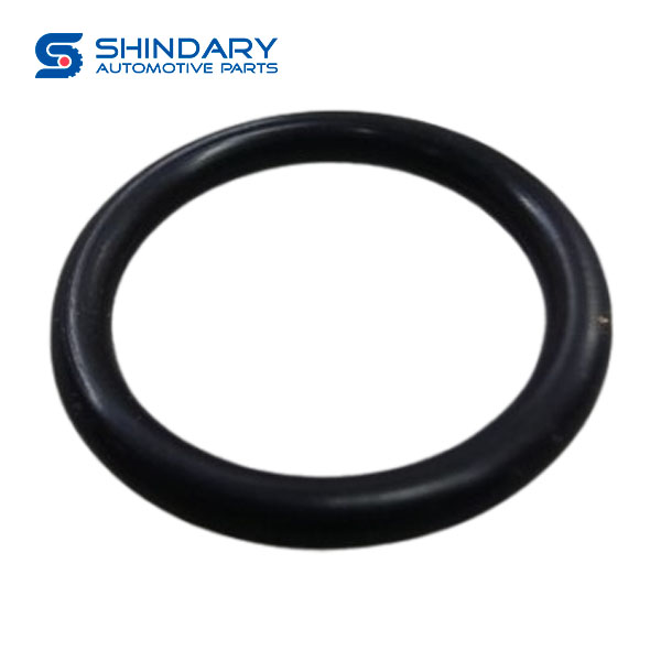 Fuel injector 200V96501-0502 for SINOTRUK T7H 430 2022