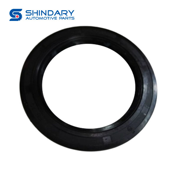 Front hub oil seal assy 310303016 for FAW