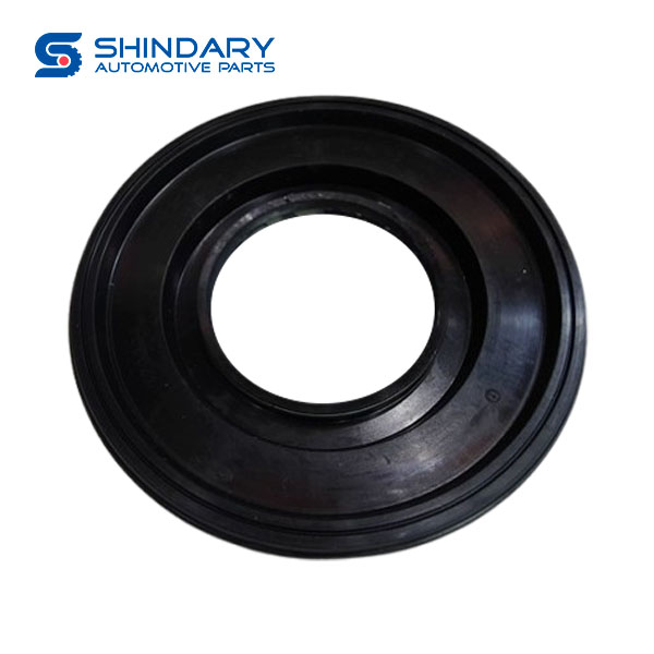 Rear hub external oil seal assy 310404005B for FAW