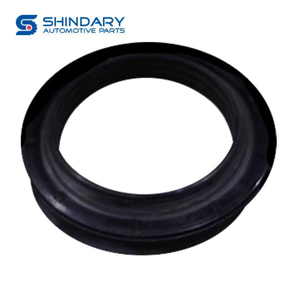 Oil seal 4890832 for FAW TIGER VH