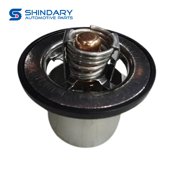 Thermostat 4974580X for SHACMAN