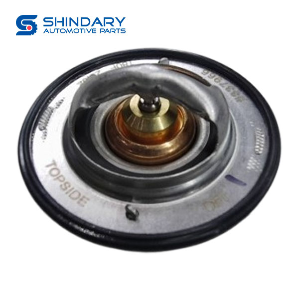 Thermostat 5337966 for FOTON