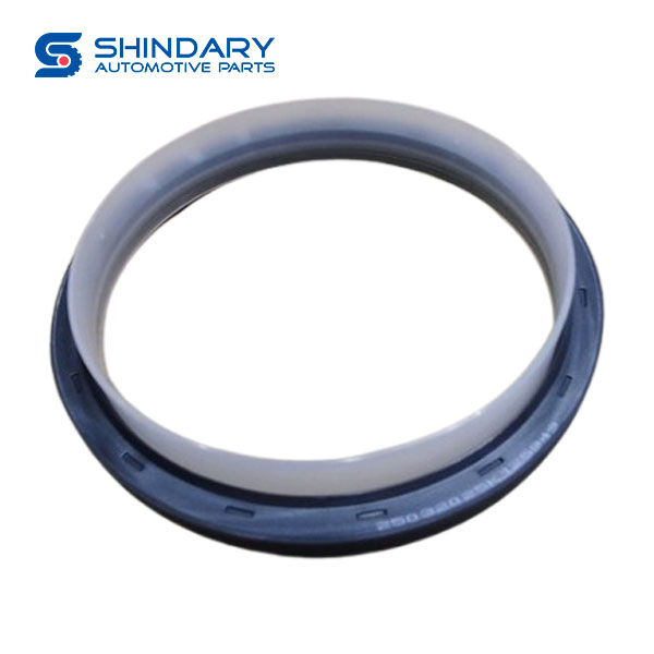 Oil seal 5405392 for FAW