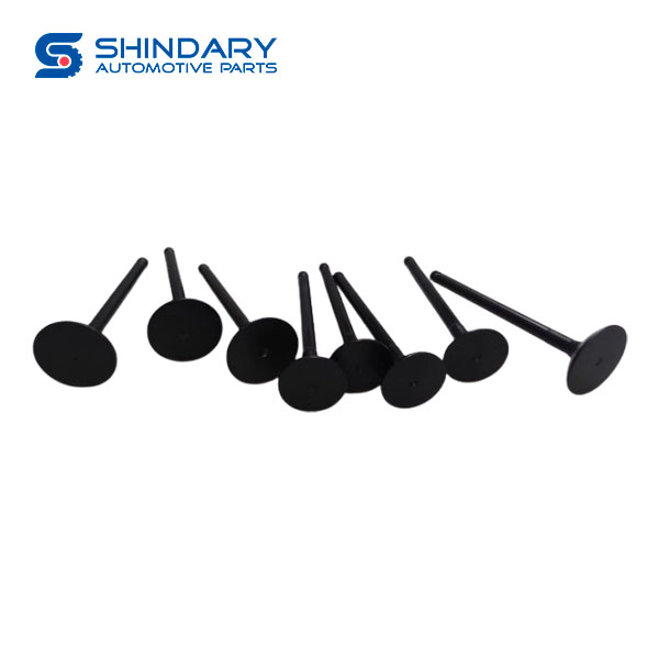 Intake and exhaust valves 5408500200800 for DFAC TUYI