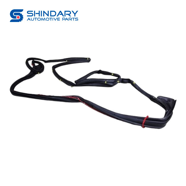 Right front door main sealing strip 61072000K8AA for DFAC PICKUP