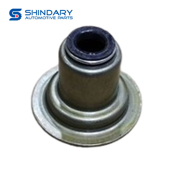Valve oil seal 612630040167 for FAW