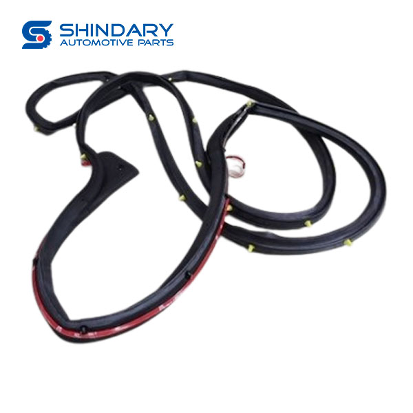 Right rear door seal 62072000B9AA for DFAC PICKUP