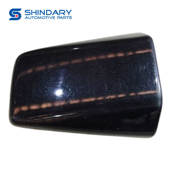 Door handle cover 806462ZY1C for ZNA