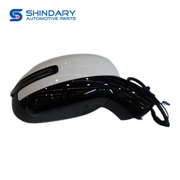 Mirrior B023634 for DONGFENG Nammi 01