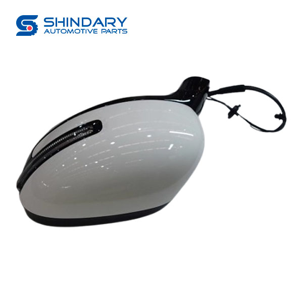 Mirrior B023642 for DONGFENG Nammi 01