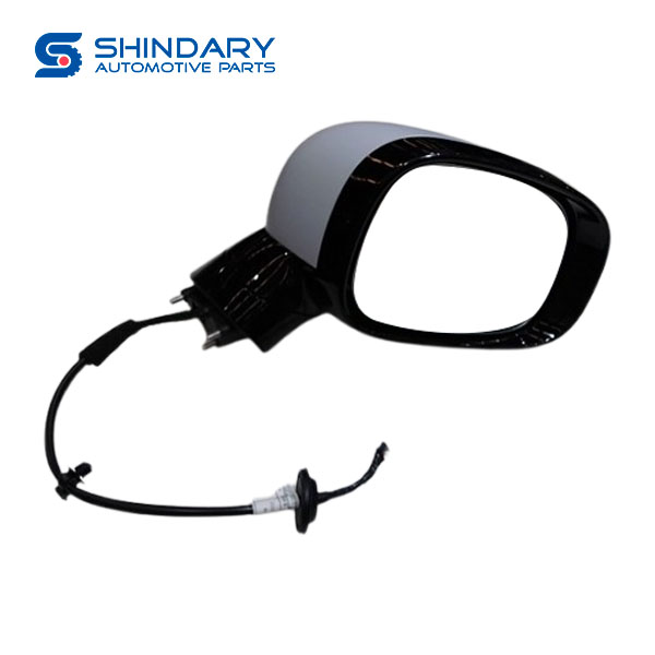 Mirrior B025554 for DONGFENG