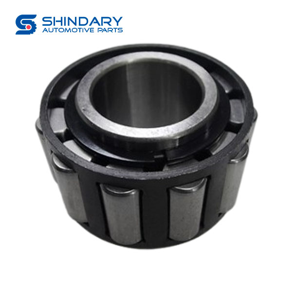 Without Outer Ring Cylindrical Roller Bearings BS10641130 for SHACMAN