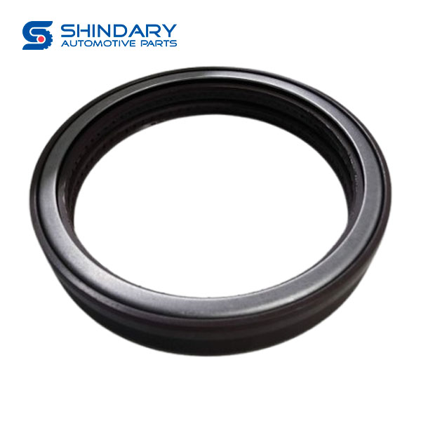 Oil seal BS19109-2 for SHACMAN
