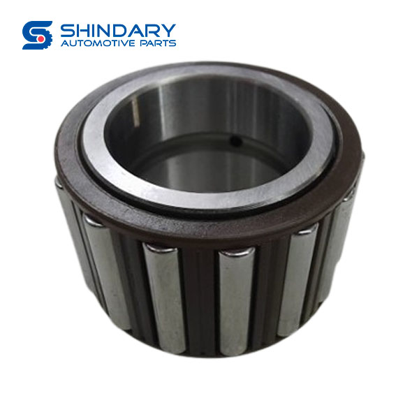 Bearing BSDS100-1701085 for SHACMAN