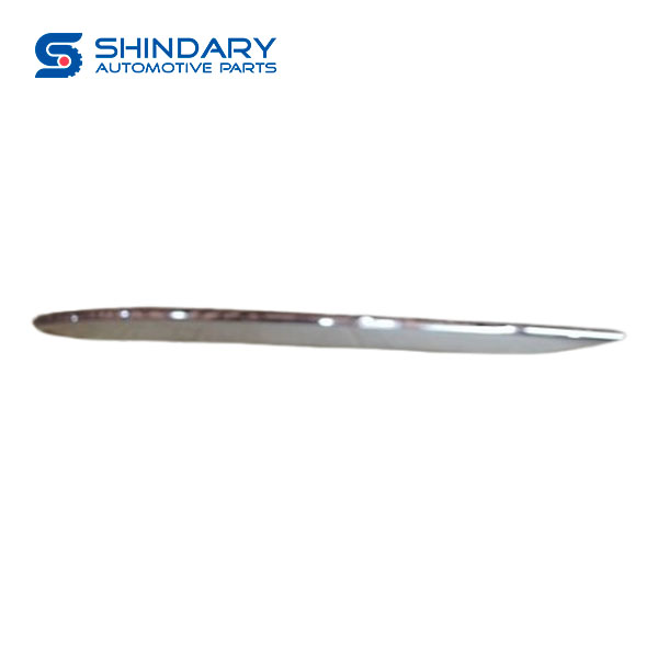 Fog lamp trim C00056468 for MAXUS