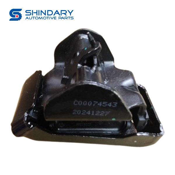 Front suspension C00074543 for MAXUS DELIVER 9
