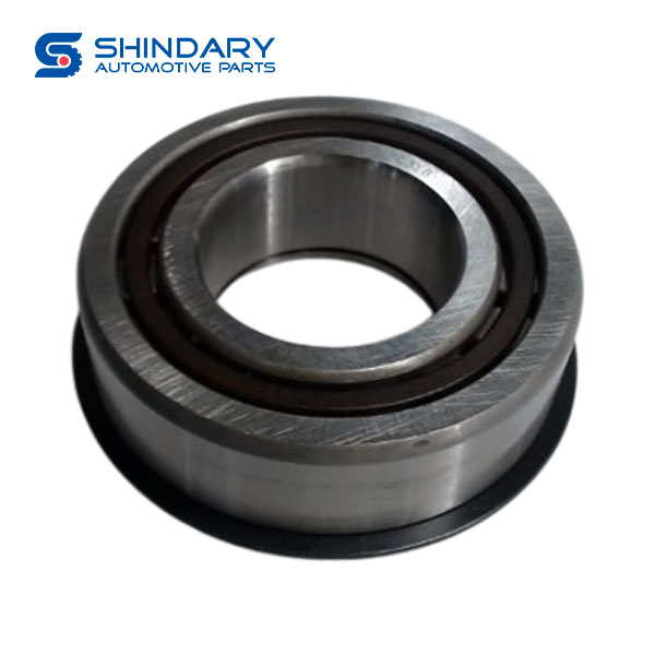 Roller bearing C00095347 for MAXUS