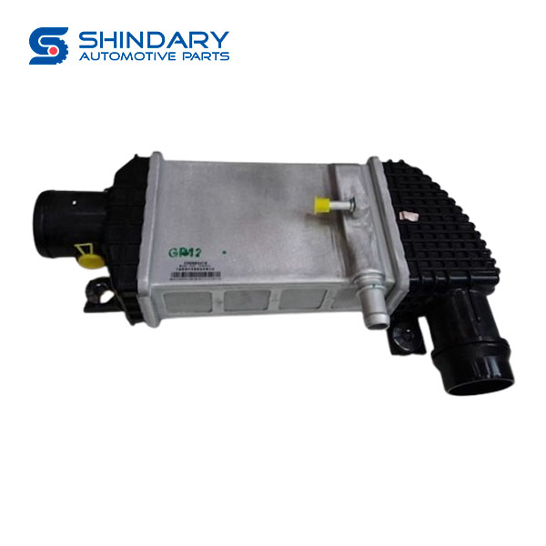 Intercooler C00184440 for MAXUS