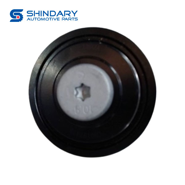 Belt idler assy C00197479 for MAXUS