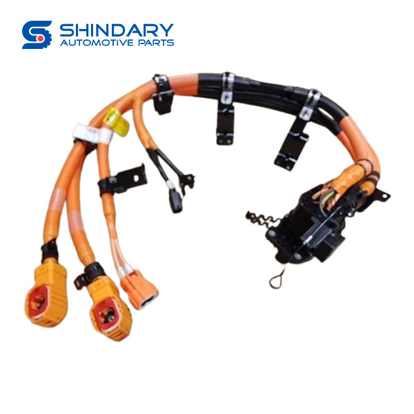 Charging cable harness assy C00202873 for MAXUS