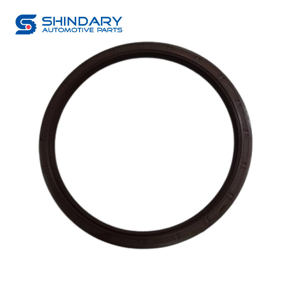 Oil seal C00235230 for MAXUS