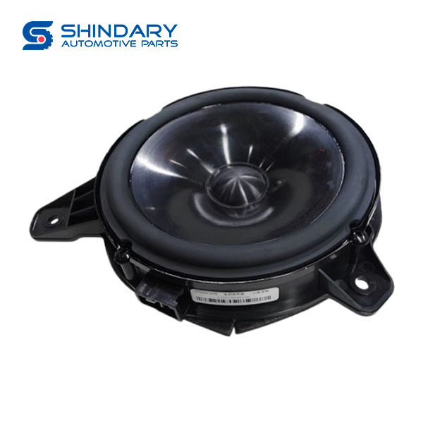 Rear speaker C00241070 for MAXUS D90
