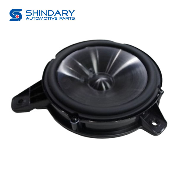 Back speaker C00261343 for MAXUS D90