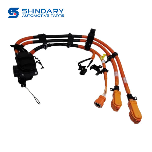 Ac/DC charging wiring harness assy C00321221 for MAXUS