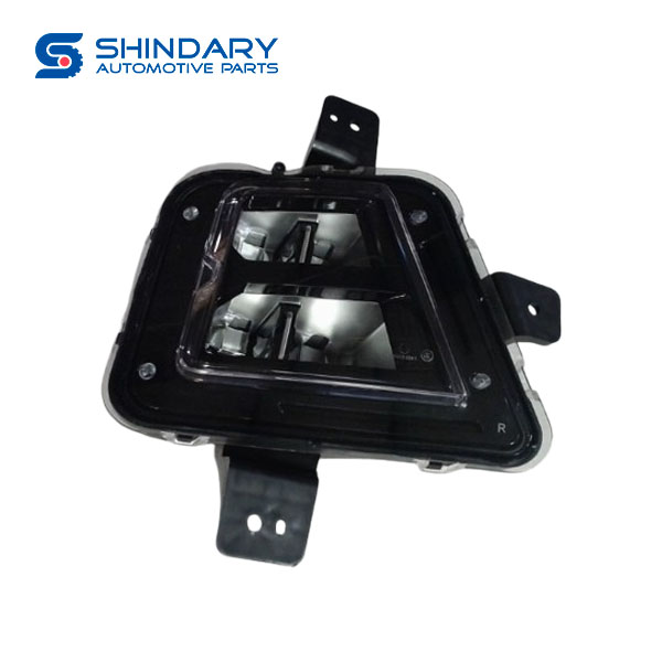 Front fog lamp assy C00337106 for MAXUS