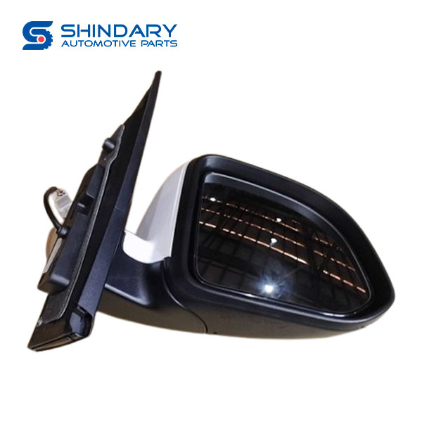 Electric exterior mirrors C00344475 for MAXUS G10