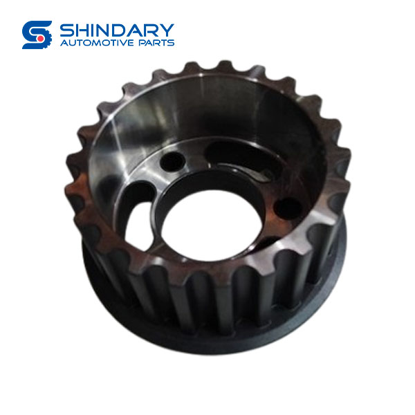 Timing gear for high-pressure oil pump C00349004 for MAXUS