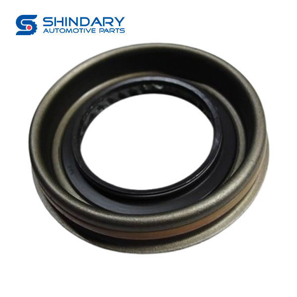 Active gear oil seal C00381597 for MAXUS