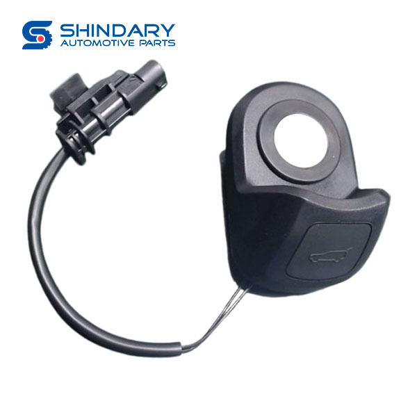 Tailgate switch C00421421 for MAXUS