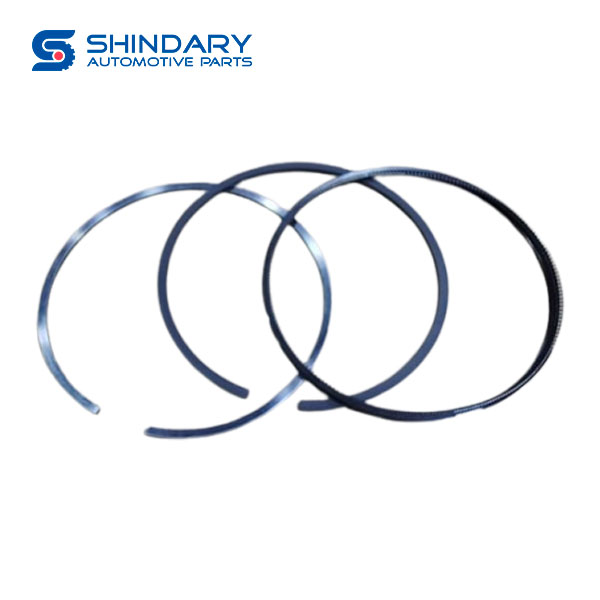 Piston ring C5406061 for SHACMAN