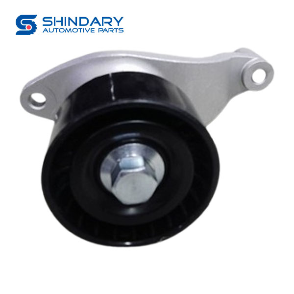 Idler wheel assy II EP1-19A216-BB for JMC